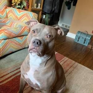 Meet your Posher, Tracy